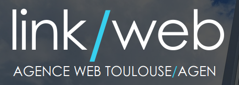 logo linkweb